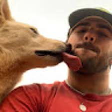 Stream Hunter Lowe music