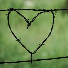 Barbed wire fence price in bns hardware.lk, barbed wire price in srilanka, concertina barbed wire, low cost fence, garden fence, home fence, fence for safe home. Amazon Com Real Barbed Wire 18 Gauge 4 Pt 25 Feet Light Duty More Flexible Perfect For Yard Or Crafts Made In Usa Arts Crafts Sewing