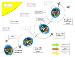 Ocean Tides Interactive Diagram Game Science Teaching Resources Earth And Space Science Tide Find images of ocean wave. ocean tides interactive diagram game