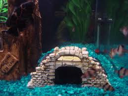 Pin On Aquariums