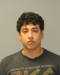 LEWIS S. MILLS HIGH SCHOOL HONOR ROLL