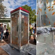 Goldfish Tank Phone Booths Are Popping Up Across Japan Goldfish Tank World Pictures Fish Tank