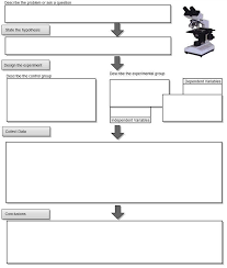 Image Result For Graphic Organizers For Developing A Hypothesis Scientific Method Worksheet Scientific Method Scientific Method Graphic Organizer
