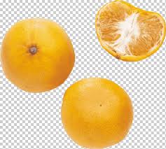 Bir kuşağı derinden sarsan clementine, octopodart'ın çevirisi ile türkçe altyazılı olarak clementine'in büyülü yolculuğuna ve malmoth ile yüzleşmeye davet. Mandarin Png