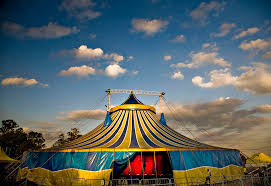 Resultado de imagem para > CIRCO