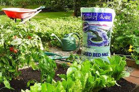 Maybe you would like to learn more about one of these? The Best Soil For Raised Beds And Container Gardening Bob Vila