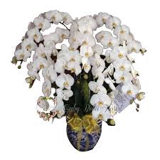 Jangan takut sama aromanya yang dianggap mistis, ya, karena. Table Flower 604 Bunga Meja Anggrek Bulan Bunga Cantik Bunga Fresh Bunga Hiasan Rangkaian Bunga Terbaru Agustus 2021 Harga Murah Kualitas Terjamin Blibli