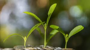 Mar 13, 2020 · the fastest way to withdraw money from your 360 savings account is by transferring it to a connected 360 checking account. 6 Types Of Savings Accounts Forbes Advisor