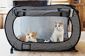 Namun, rupanya hal itu ada alasannya. Ini Dia 10 Aksesori Kucing Yang Perlu Kamu Miliki Ketika Memelihara Kucing