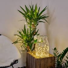 Wie/wo kann ich die lichterkette befestigen? Lichterketten Deko Beleuchtungsideen Mit Lichterketten Lampe Magazin