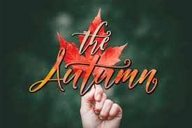 Download free old english fonts. Autumn Script 49390 Calligraphy Font Bundles