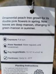 We did not find results for: Sara S Nursery Crimson Cascade Weeping Peach Tree Facebook