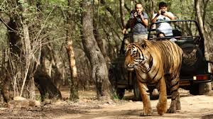 Tourists Prefer Jim Corbett National Park As Wildlife Getaway Destination Wildlife Tour Desert National Park Jim Corbett National Park