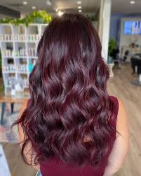 Mahogany brown adds a cool, red tone to dark brown hair. 50 Beautiful Burgundy Hair Colors To Consider For 2021 Hair Adviser