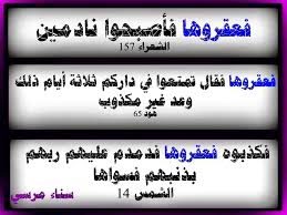 في الأعراف ٧٧ فعقروا الناقة في غيرها فعقروها ثلاث مرات bed pillows sos pillows