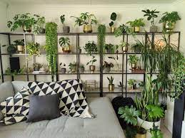 Well, i have a lot of hobbies (in no particular order): So My Wife Got A New Hobby During The Quarantine Houseplants