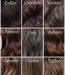 Prime 10 Choclate Hair Coloration Coffee Hair Cool Hair Color Chestnut Hair