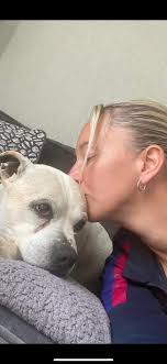 Our buster boy 💙 went to rainbow bridge Tuesday 🌈 We love you boy we will  miss you so so much 😢. Heartbroken 😢 he would have been 15 in September  fly