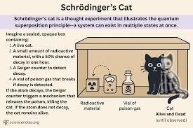 Schrödinger’s Cat