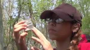 The Lee Botts Environmental Education Fund: creating an enduring legacy of  learning in the dunes