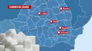 Esti administratorul acestei firme : LoviturÄƒ Pentru Zeci De Fermieri Una Dintre Cele Mai Mari Fabrici De ZahÄƒr Din Romania Se Inchide Stirileprotv Ro