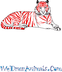 Today, you will be taught about how easily you can draw a cheetah in step wise manner. How To Draw A Realistic Tiger