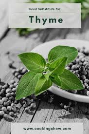 Want a substitute for thyme? What Is A Good Substitute For Thyme