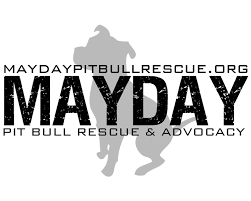 Pitbull puppy with a broken jaw gets rescued. Pets For Adoption At Mayday Pit Bull Rescue Advocacy In Phoenix Az Petfinder