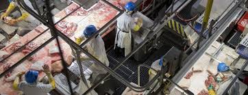 We have put together a list of the most frequently asked questions from our users such as: U S Meat Plants Are Deadly As Ever With No Incentive To Change
