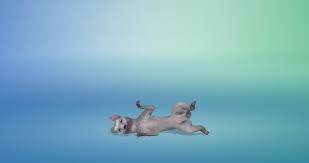 View profile see their activity. Dsfdsfdsf Album On Imgur