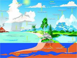 The water cycle, also known as the hydrologic cycle or the hydrological cycle, is biogeochemical cycle that describes the continuous movement of water on, above and below the surface of the earth. The Terrestrial Water Cycle Or Hydrological Cycle And Its Components Download Scientific Diagram