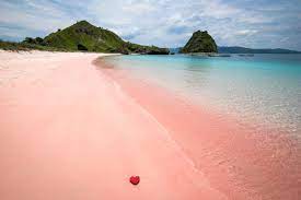 The beach gets its unique colour from microscopic organisms called foraminifera. Pink Beach Komodo Island Indonesia S Famous Pink Sand Beaches