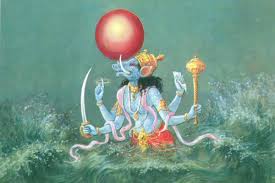 Image result for sri varaha avatar