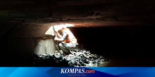 Temukan info lowongan pekerjaan menarik dan terbaru januari 2021 di bandar lampung hanya di jobs.id. Phl Upk Badan Air Jakarta Utara Diancam Tidak Diperpanjang Kontraknya Halaman All Kompas Com