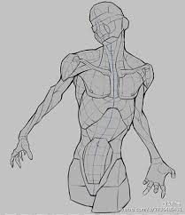 Well, drawing the anatomy of the beginner is like drawing anatomy of anyone else. 70 Anatomy Male Ideas Anatomy Anatomy Drawing Man Anatomy
