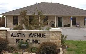 Let our mobile vet liner take care of your beloved pet in the comfort of your home. Austin Avenue Pet Clinic Veterinarian In Brownwood Tx Us