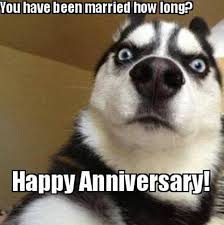 You can send the collection of happy anniversary quotes and sayings to your love and enjoy the nice picture quotes. 25 Memorable And Funny Anniversary Memes Sayingimages Com