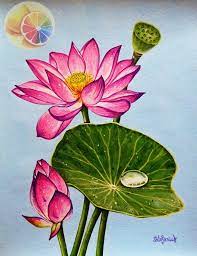 Lotus Lotus Painting Lotus Artwork Lotus Illustration Etsy Lotus Artwork Lotus Painting Lotus Flower Painting