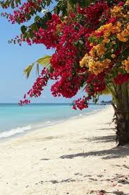 Pin By Terri Terrie On Beach Bliss Beautiful Nature Beautiful Beaches Nature