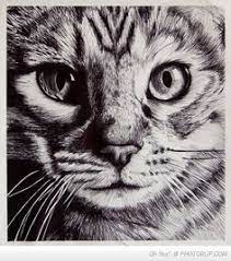 Cat wall decor, printable wall art, minimalist poster, black and white print, cat print, cat art, sketch art, brush stroke art, ink drawing. Pin On Cat Art