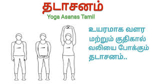 Tadasana Tamil Mountain Pose Yoga For Beginners Yoga Asanas Tamil Youtube