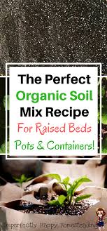 I've done too much reading and still don't know precisely what i'm doing. The Best Diy Soil Mix Recipe Vegetable Garden Soil Organic Gardening Tips Organic Soil