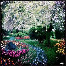 garden in spring beautiful gardens tulips garden outdoor gardens