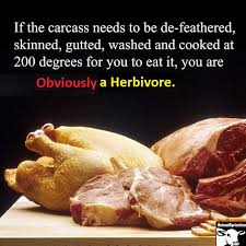 Carnivores have a set of teeth that are very different from herbivores'. Human Is Herbivore Omnivore Evidence Proof