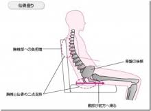 ãéª¨ç¤æ­£å¸¸ãåº§ä½ ç¡æç»åãã®ç»åæ¤ç´¢çµæ