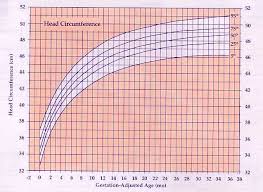 14 Complete Head Circumference Chart For Infants