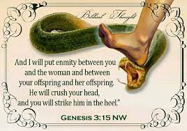 For Publication Downloads Please Visit Jw Org Bible Truth Scripture Pictures Bible Knowledge