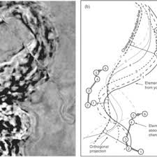 PDF) 'LOSCS' Lateral Offset Stacked Channel Simulations: Towards  geometrical modelling of turbidite elementary channels