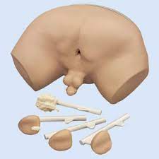 Zudem ist ab 50 jahren jährlich ein test auf nicht sichtbares (okkultes) blut im stuhl möglich. Nasco Simulator Fur Prostatauntersuchung Skills Med Deutschland Gmbh