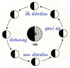 Ayin Evreleri Nelerdir